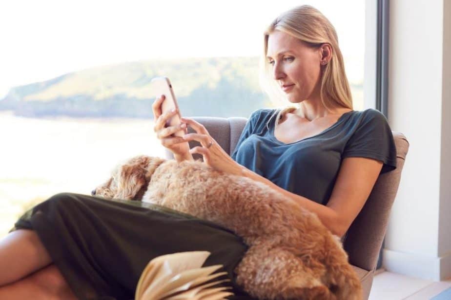 Why Does My Dog Sit on Me? This Pet That Pet